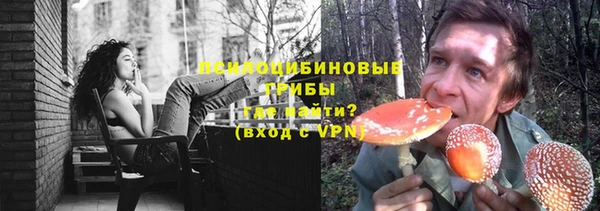 винт Алексин