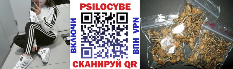 наркотики Венёв Псилоцибиновые грибы ЛСД